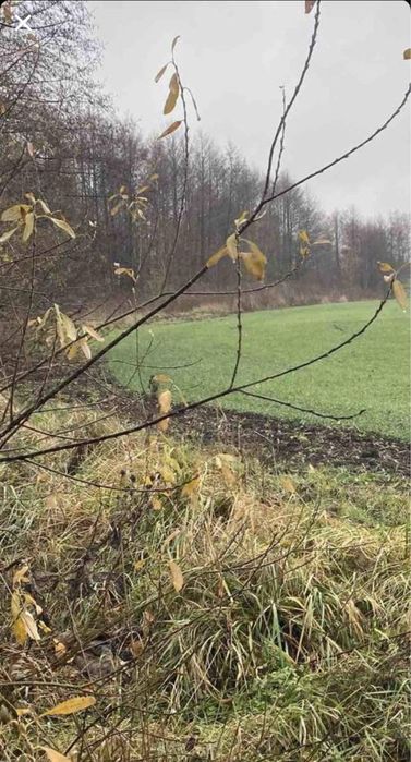 Продам земельну ділянку