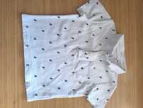 Bluzka polo, smyk