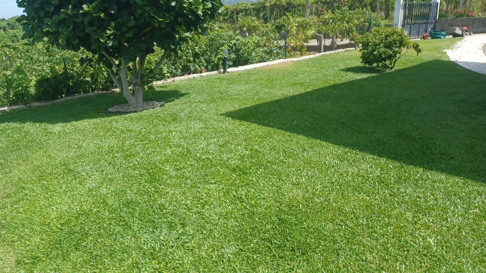 Serviços Jardinagem