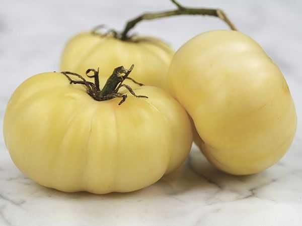 Kit sementes 4 Variedades de Tomates (Tigerella, Zebra, Negro, White)