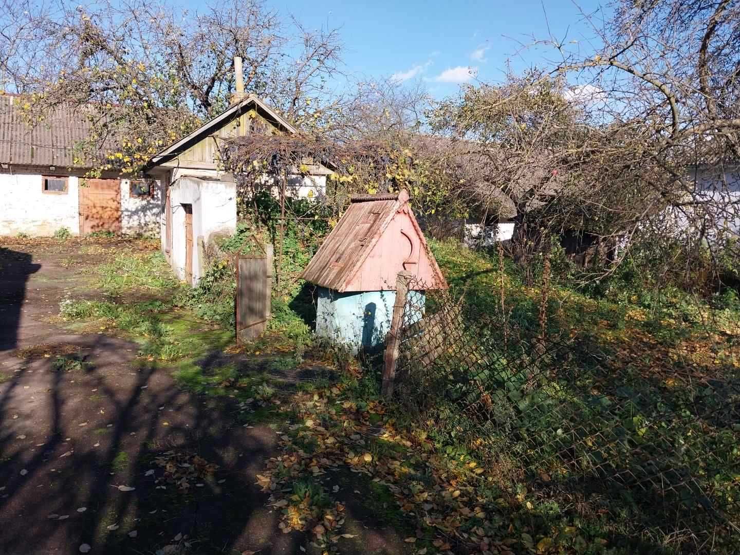 Будинок в селі з земельним участком