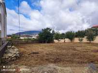Terreno em Seixas de 200,00 m2