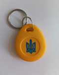 Домофонные ключи VIZIT-RF3.1 (13.56 MHz) Mifare для домофона Визит