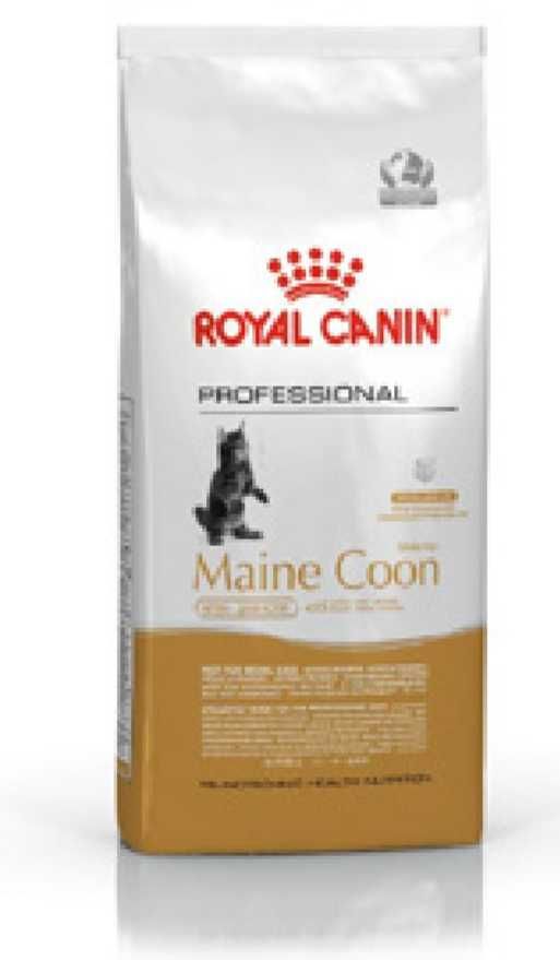 14kg Maine Coon Kitten Royal Canin