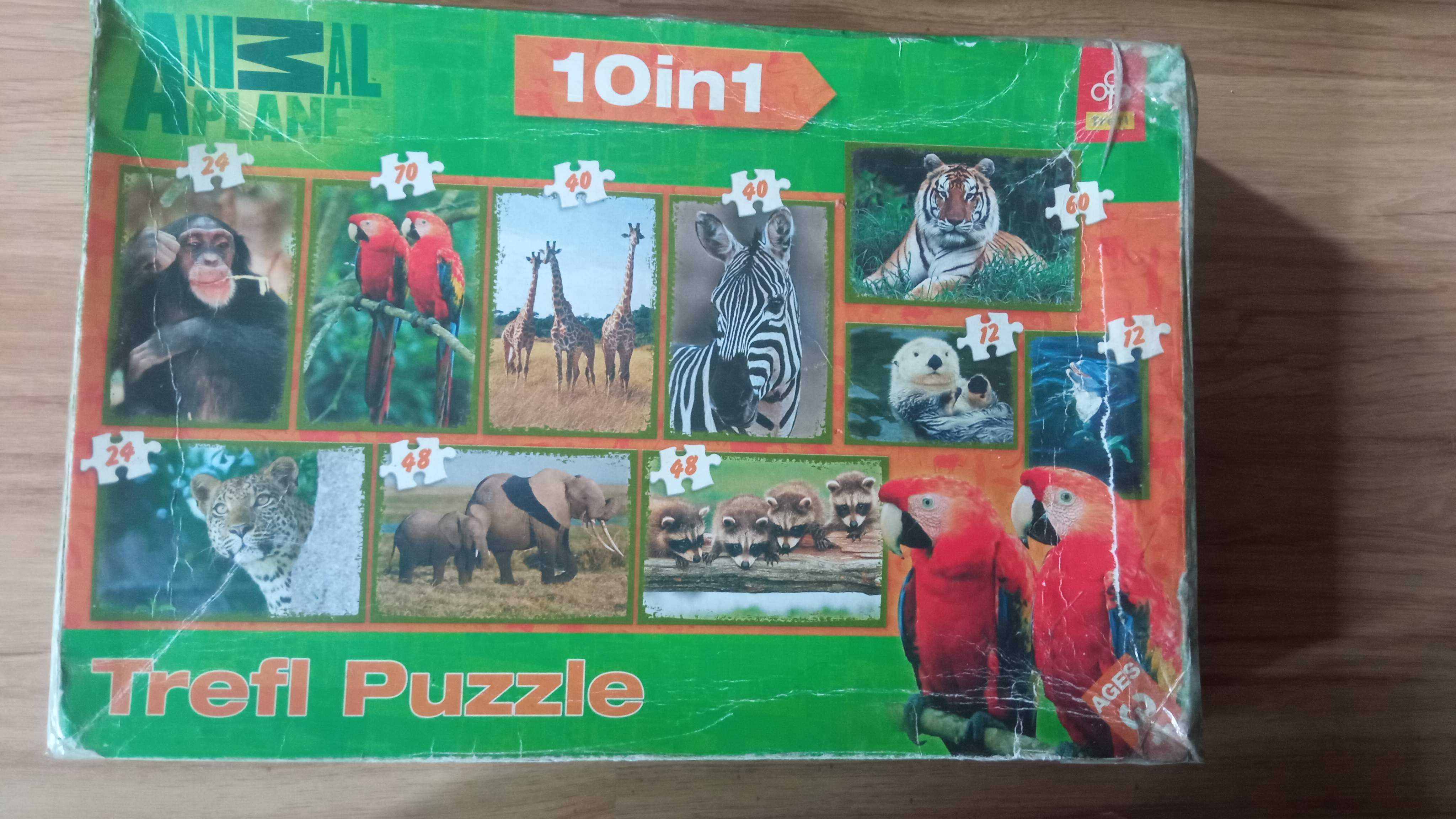 Puzzle Trefl McQueen auta 9w1, Spiderman, Scooby Do, zwierzęta 10w1