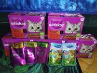 Karma mokra dla kota 1+ Whiskas (63 szt) + gratis Winston (2 szt)
