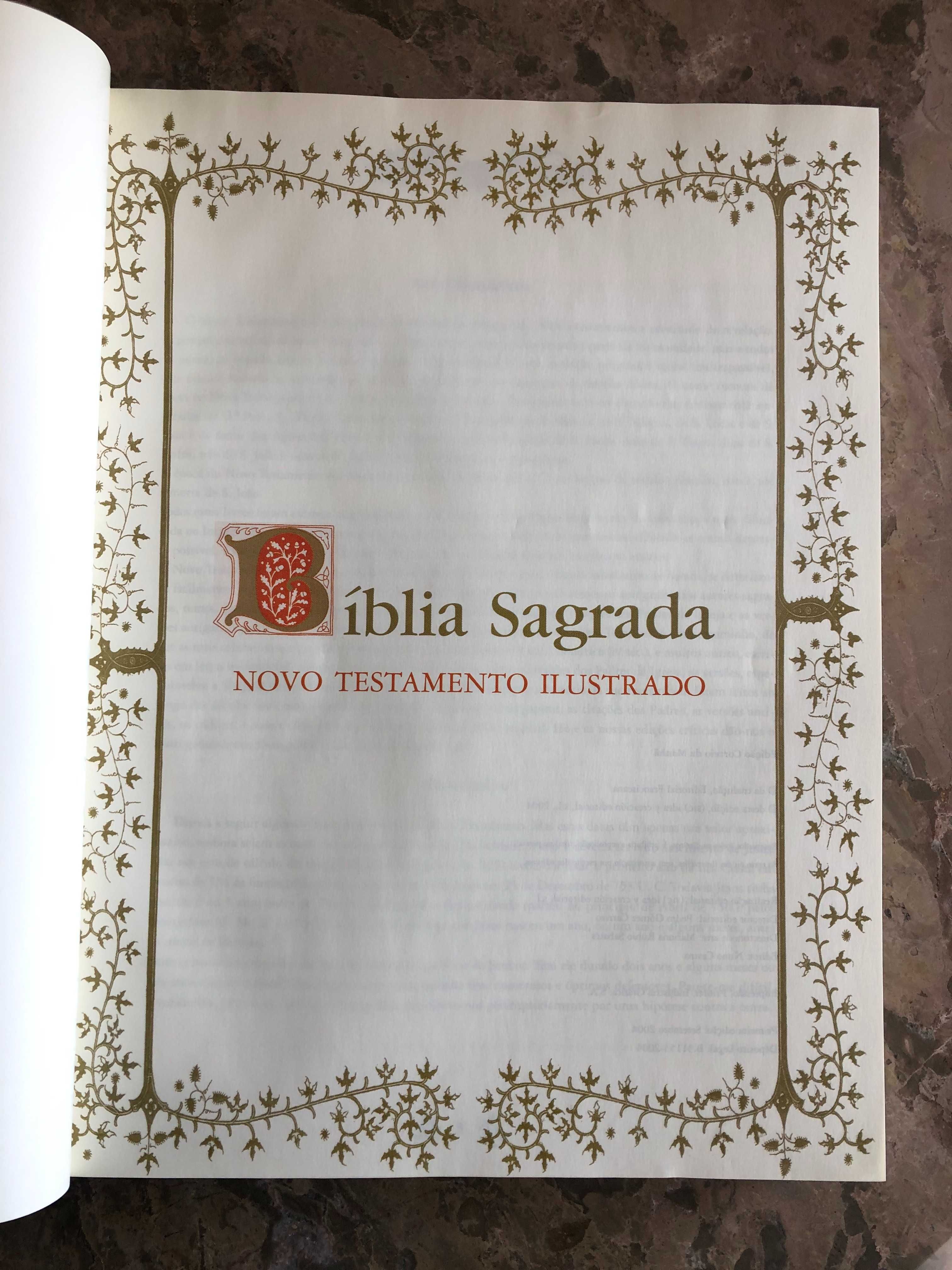 Bíblia Sagrada - Novo Testamento Ilustrado