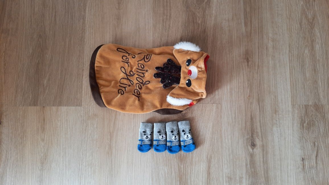 Skarpetki dla zwierząt buty dla psa kota + gratis Świąteczne ubranko