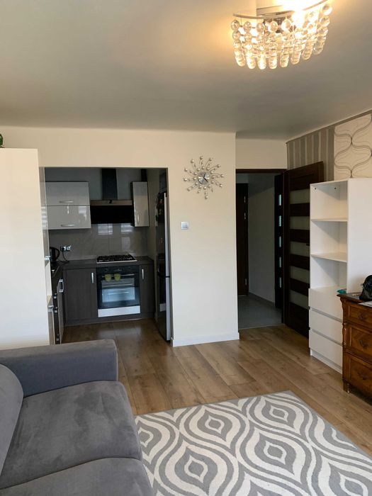 Mieszkanie do wynajęcia po remoncie