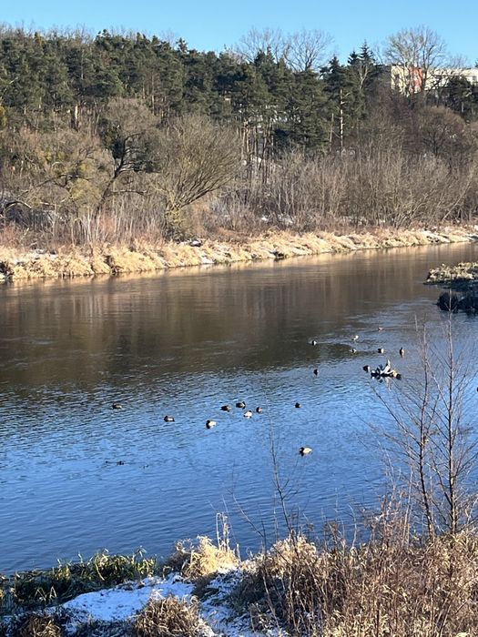 Domek Rzeczny Zakątek nad Wkrą