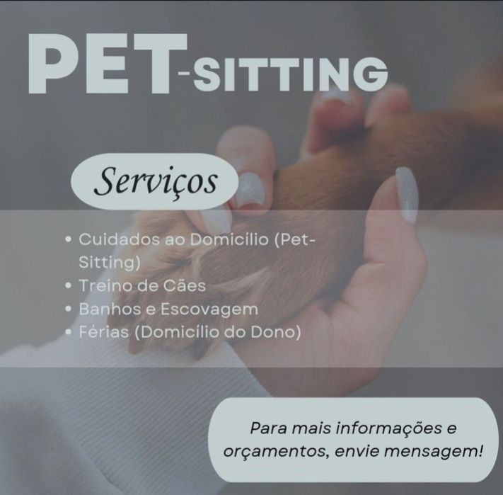 Treino de Cães/Pet-Sitting