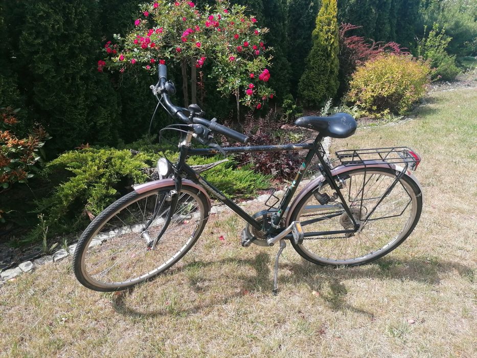 Gazelle Medeo rower męski