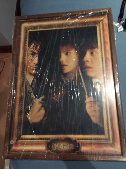Quadros Harry Potter - Colecionador - Como Novos