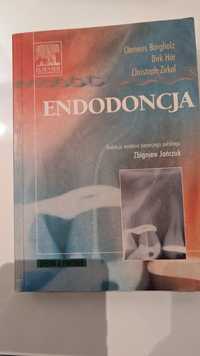Endodoncja, Bargholz,Hot,Zirkel