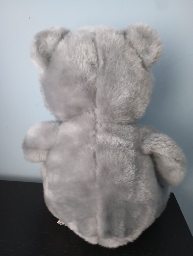 Urso de peluche, brinquedo