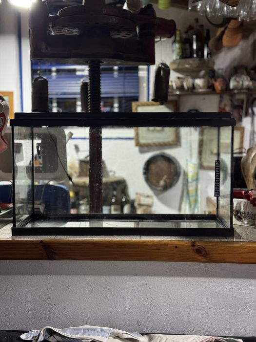 Aquario Grande C/luz