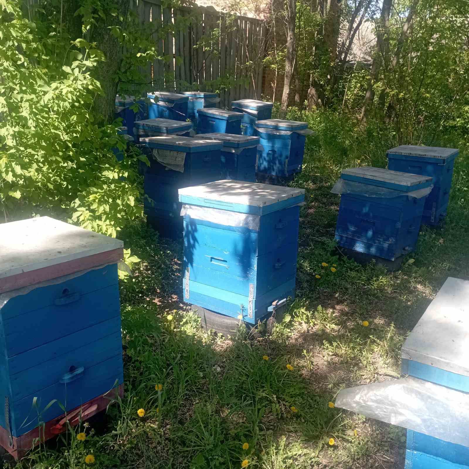 Продам корпуси вулики для бджіл