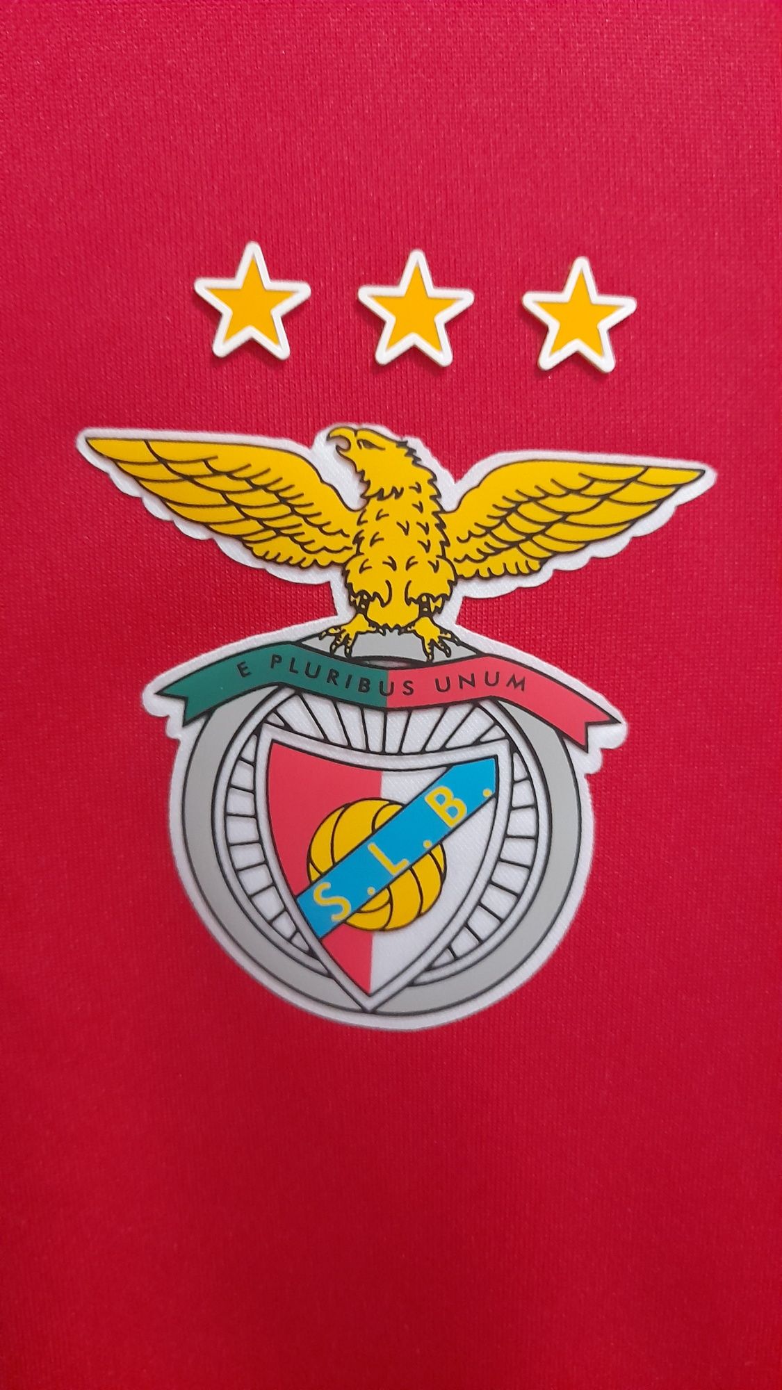 Fato treino Benfica (casaco + calças) -Portes incluídos-