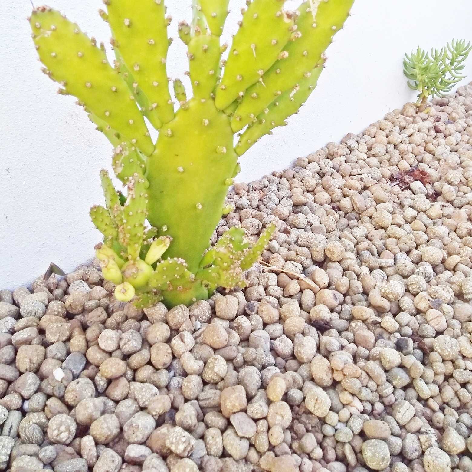 Argila Expandida “Leca”