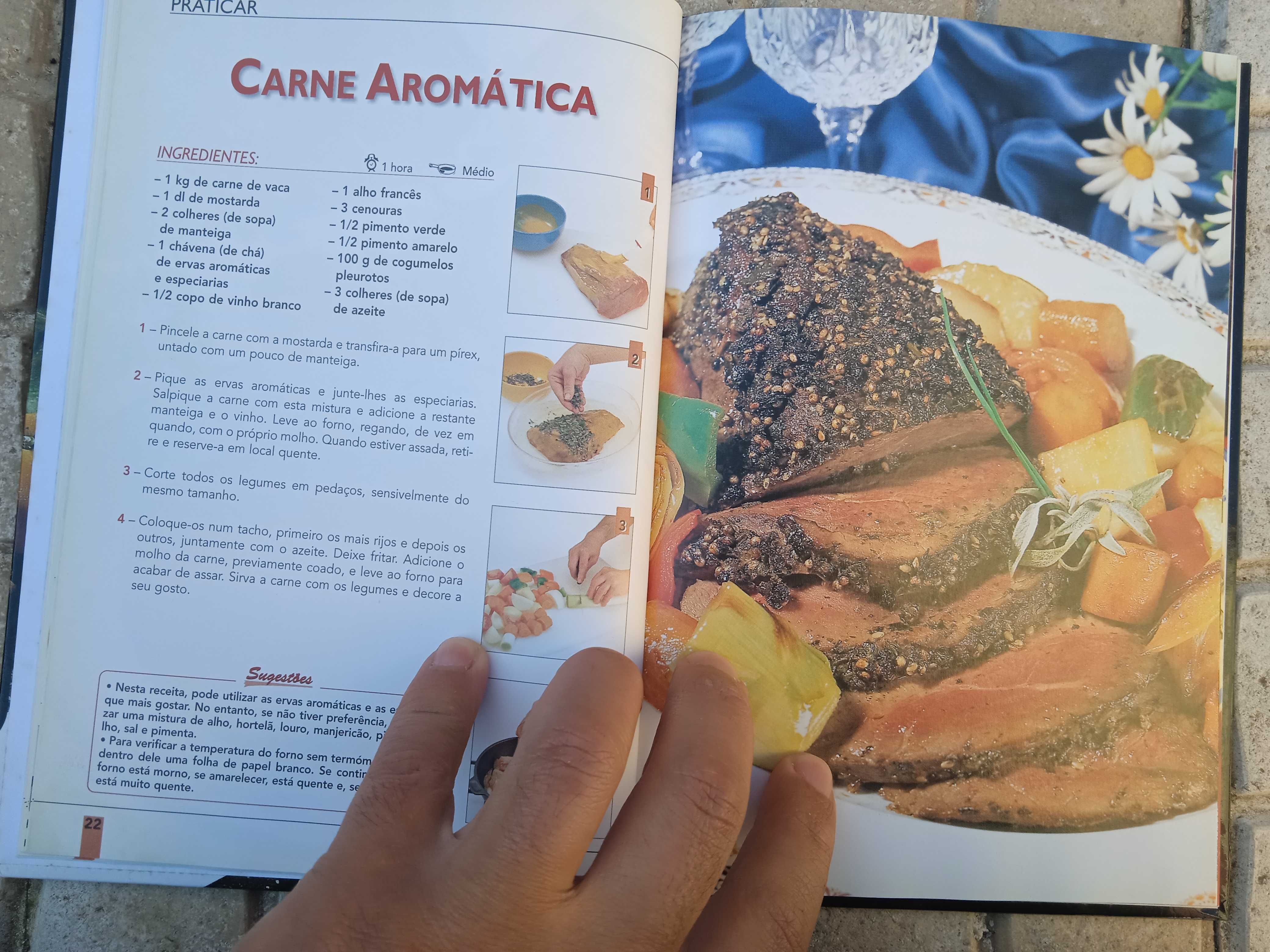 Livro - Para Bem Cozinhar Carnes