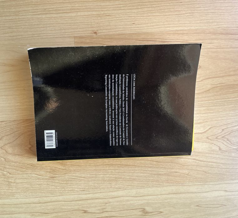 Sistema De Normalizacao Contabilistica