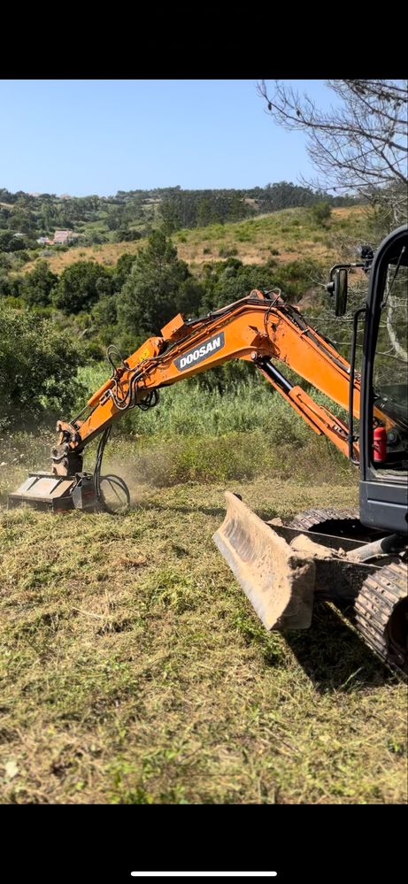 Limpeza de todo tipo de terrenos