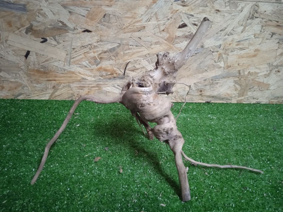 Korzeń do akwarium Red Moore Wood nr 723 o wymiarach 34/12/21