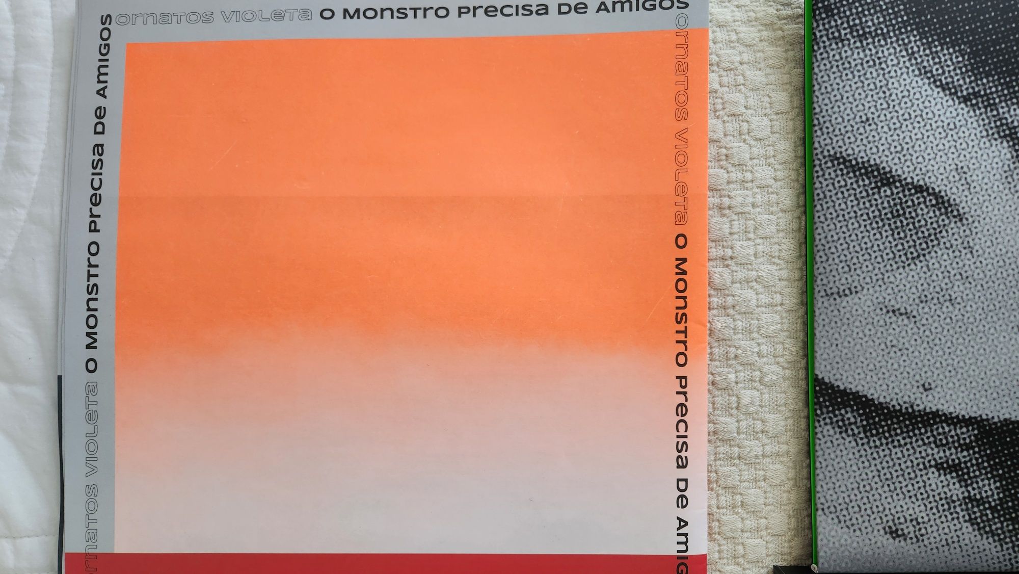 Ornatos Violeta O monstro precisa de amigos