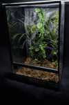 Terrarium 40x40x60 Gekon Orzesiony Kameleon Wąż Nadrzewny Od Reki