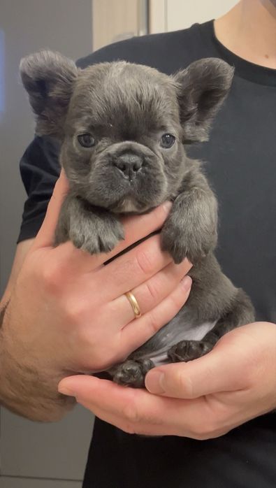 Хлопчик голубий флаффі