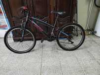 Bicicleta Berg Blast 243 (adolescente)