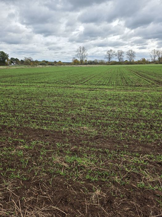 Działki orne uprawne