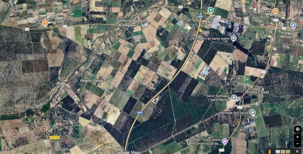 Terreno 22 000 m2 para projeto familiar ou investimento, Pegões Velhos