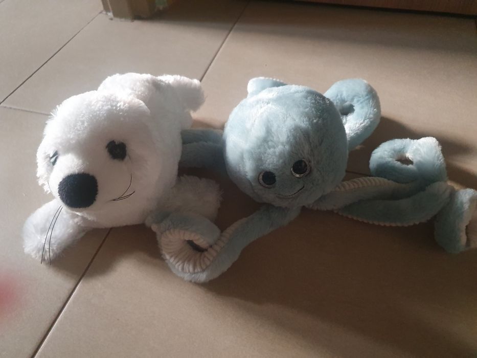 Pluszowe foka I osmiornica