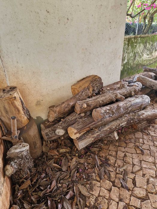 Lenha em bruto para lareira