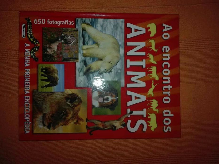 Ao encontro dos animais