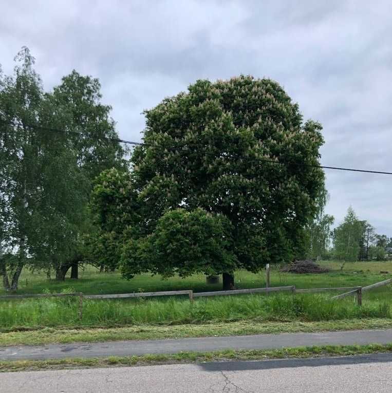 Działka budowlana 1000m2 Chrzczanka-Folwark, 1h od Warszawy