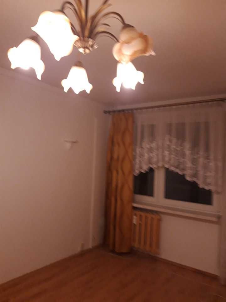 Do wynajęcia mieszkanie w Dabrowie Górniczej bez pośredników