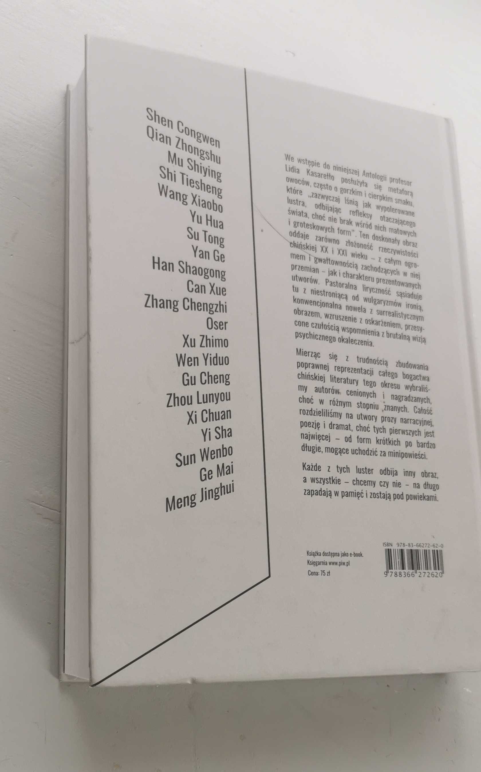 Kamien w lustrze. Antologia literatury chińskiej xix i xx wieku