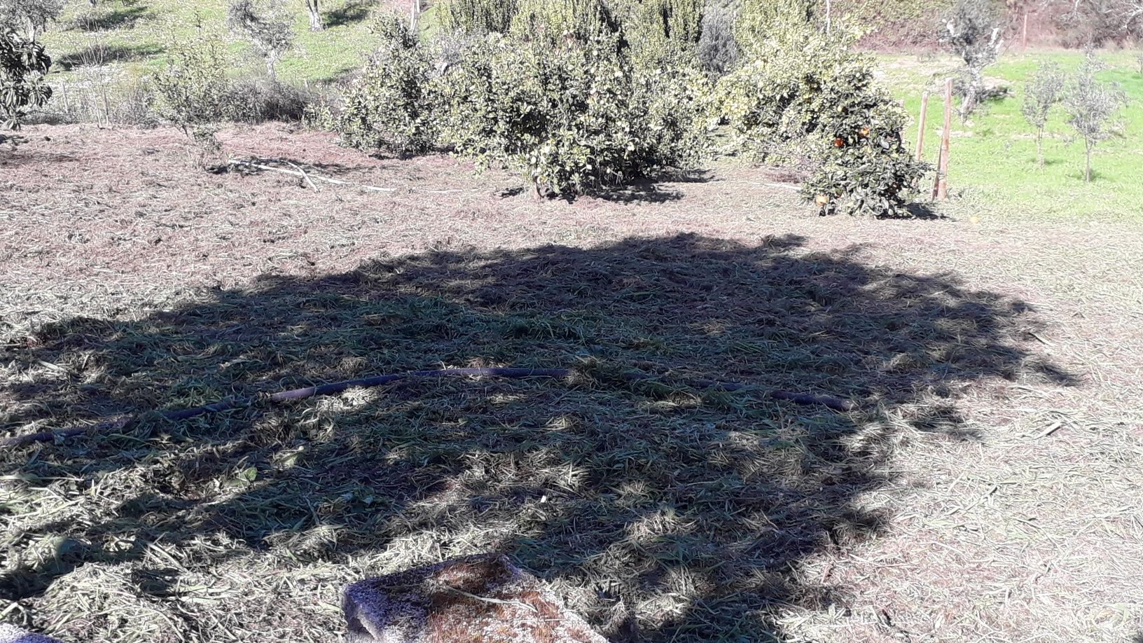 Limpeza de terrenos