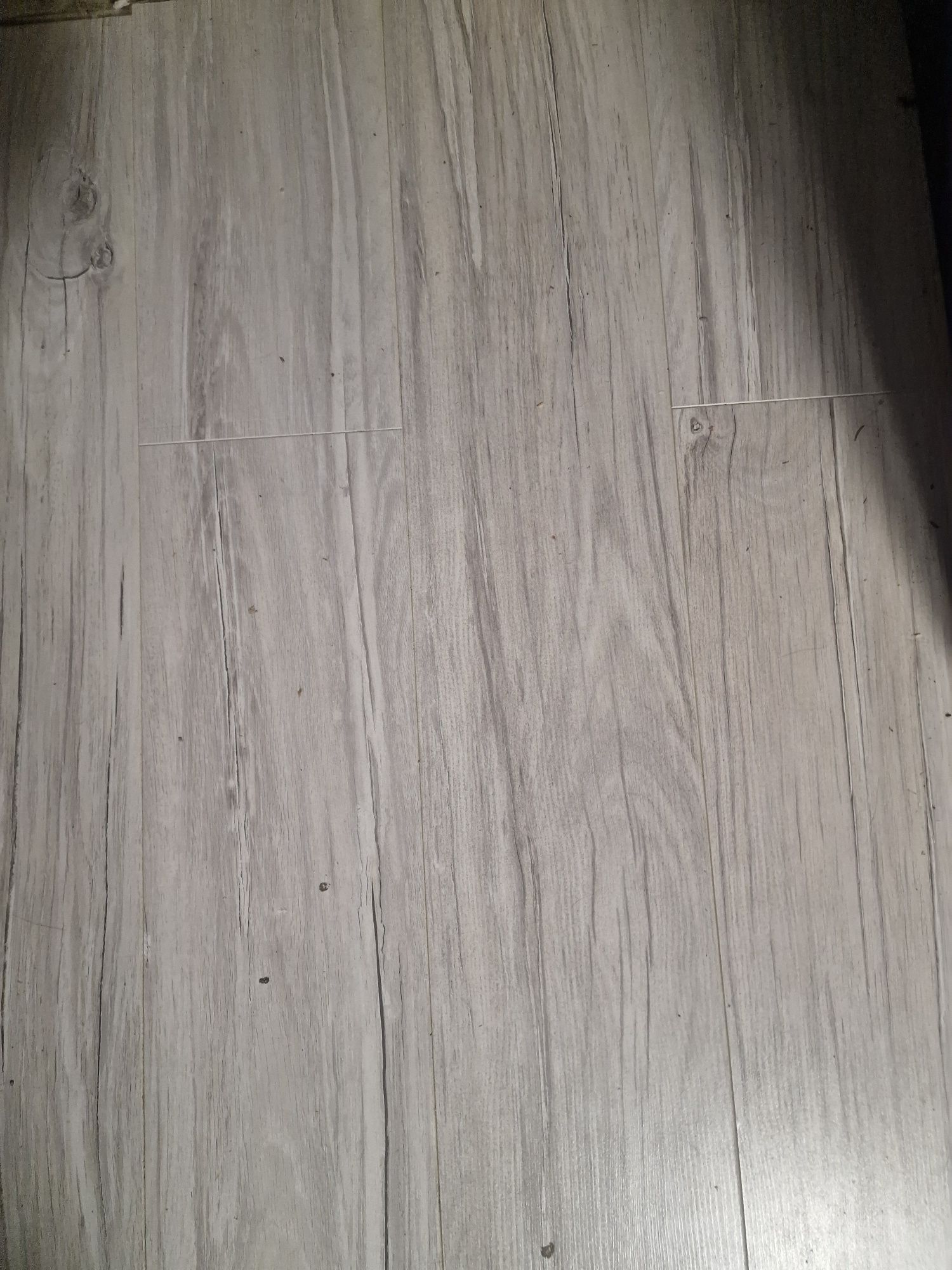 Panele podłogowe laminowane  Artens