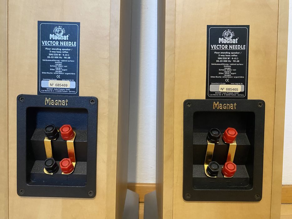 Акустика колонки Magnat Vector Needle