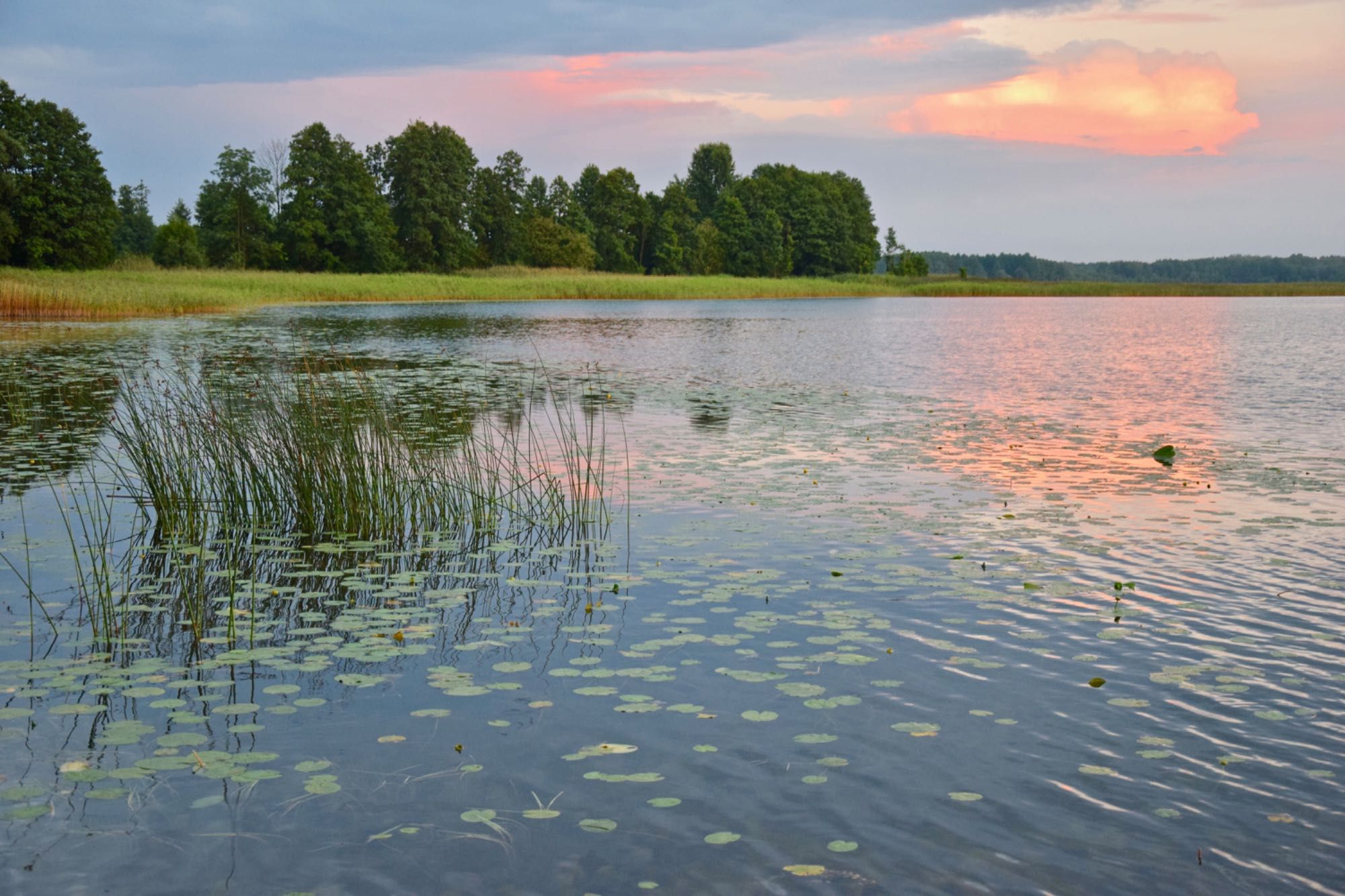 Działka nad jeziorem Gremzdy