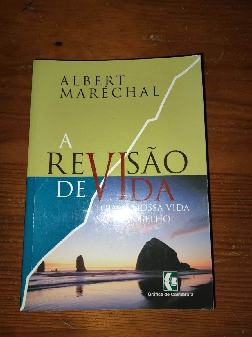 Vendo livro Revisão de Vida - JOC