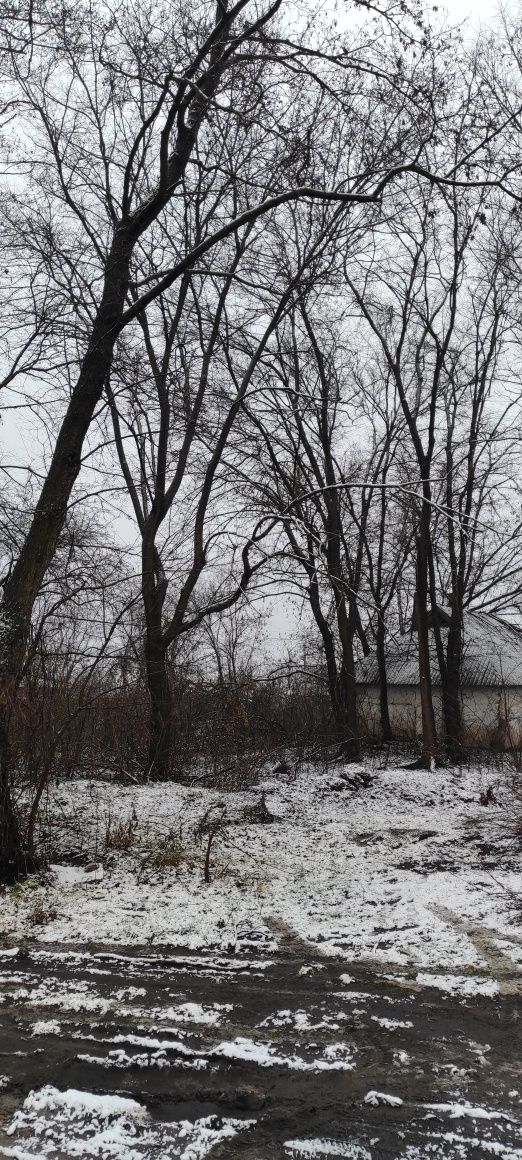 Земельна ділянка 16 соток в лісі с. Проців під будівництво