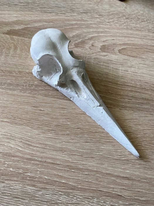 biała czaszka kruka figurka ozdoba gotycka