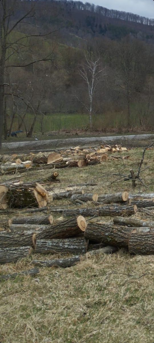 Zrywka drewna, Ścinka drewna, Koszenie łąk Odkrzaczanie