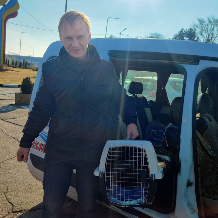 Перевозка животных за границу кошек с хозяйвами .Оформление документов