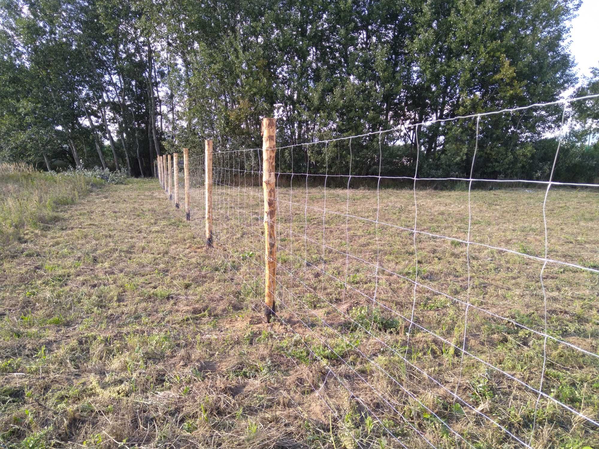 Ogrodzenie budowlane, tymczasowe, stałe, siatka leśna, faktura