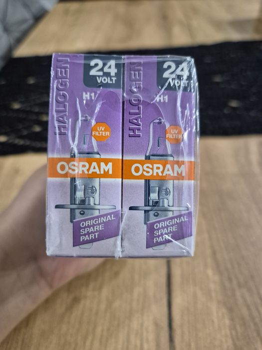 Żarówka Halogen 24Volt H1 Osram